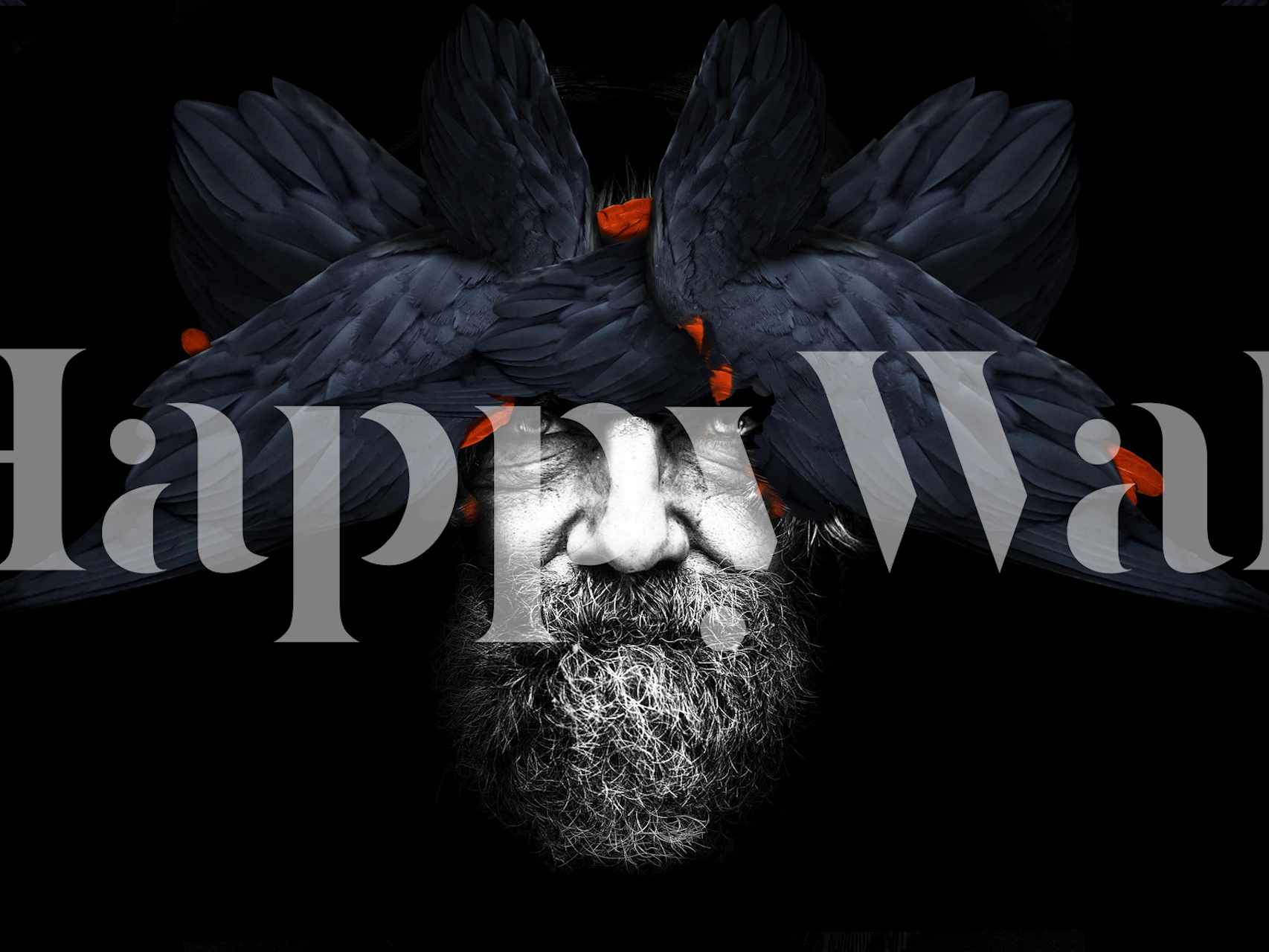 Bird Man Blue wallpaper displayed in a room