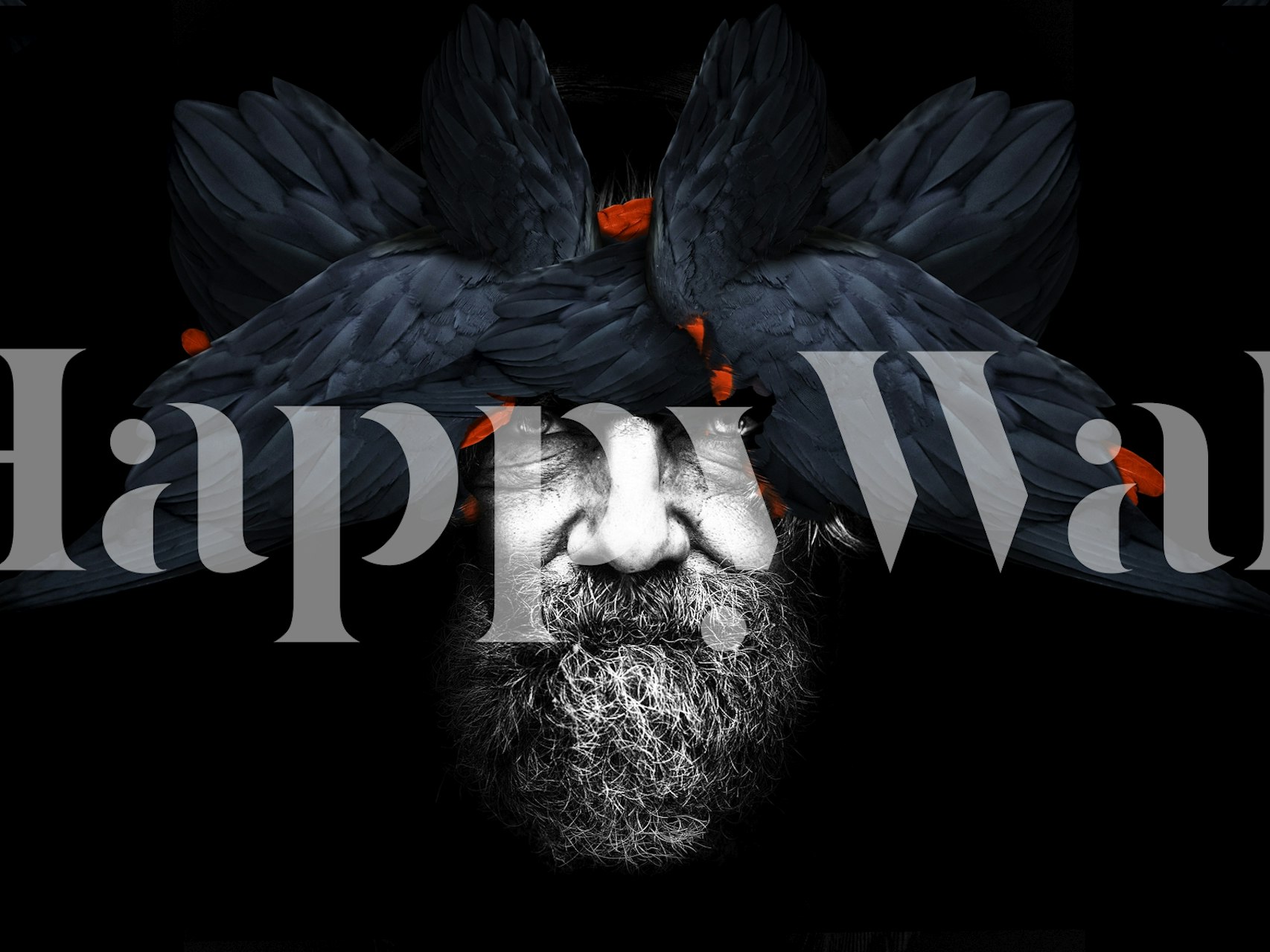 Bird Man Blue Tapete in einem Raum angezeigt