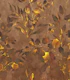 Golden Autumn Foliage
