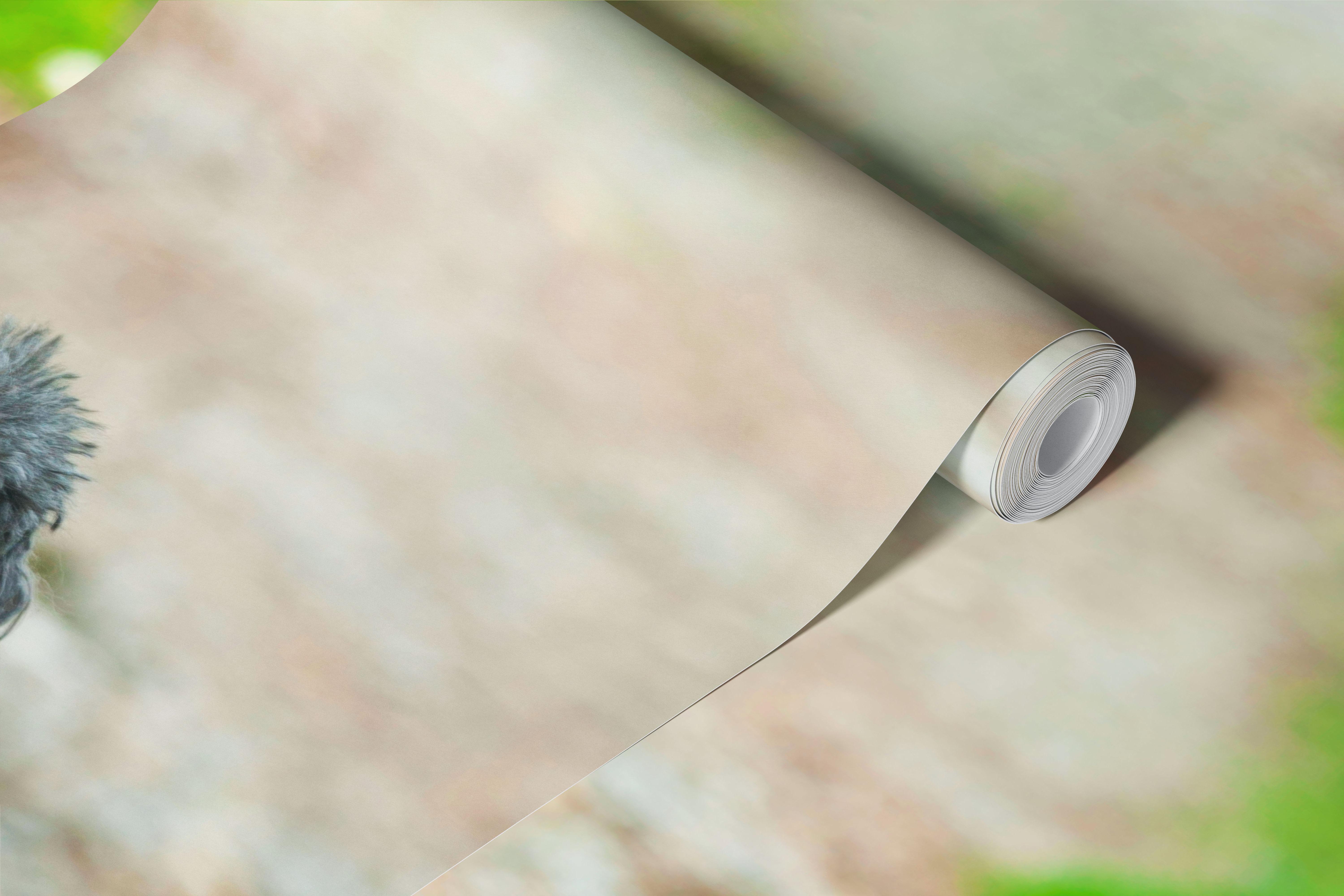 Poodle sitting on a forest path wallpaper