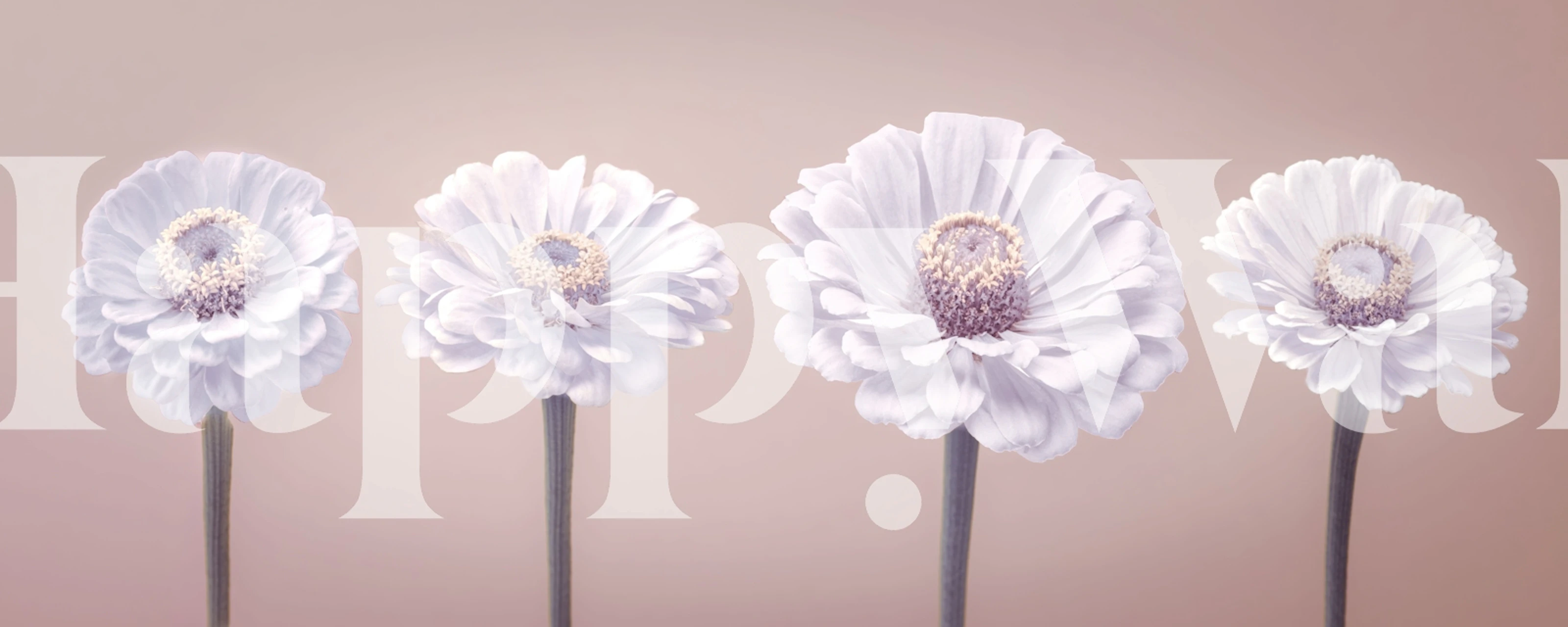 Soft pink flowers on a pastel background floral wallpaper