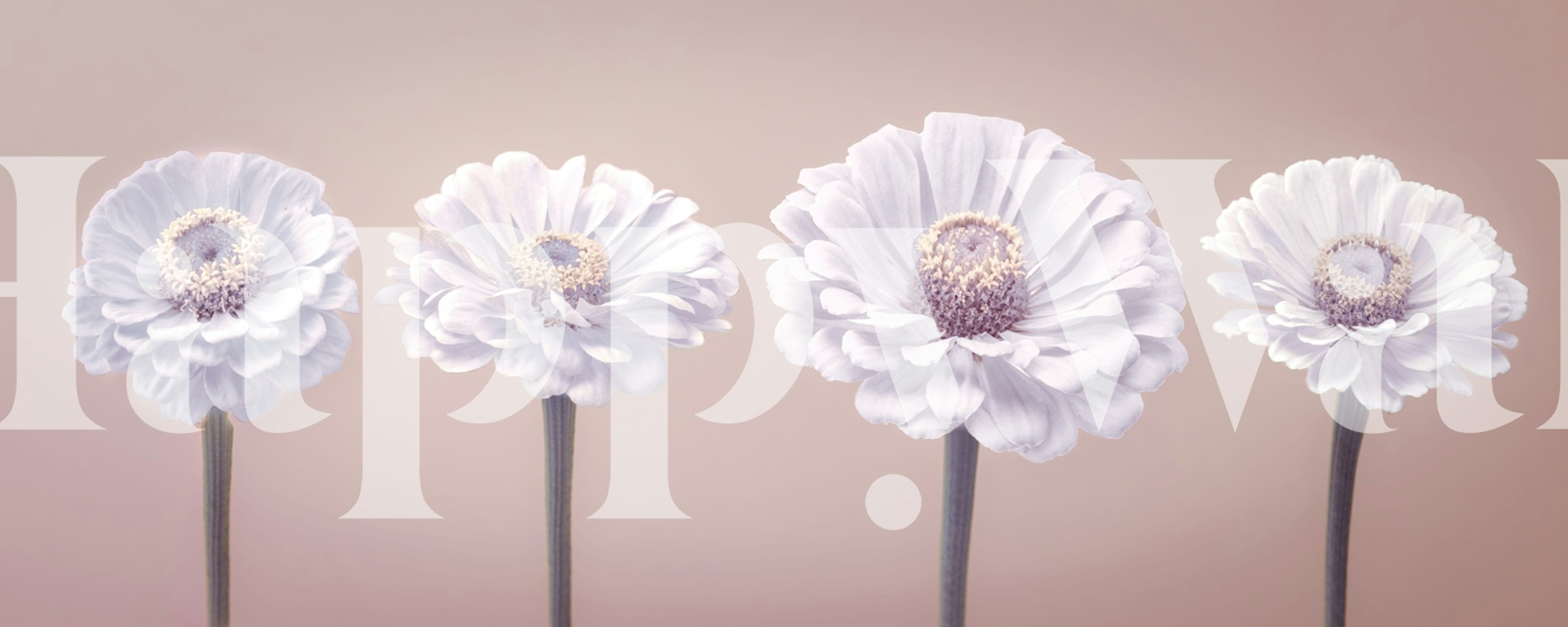 Soft pink flowers on a pastel background floral wallpaper