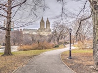 Central Park Serenity papiers peint