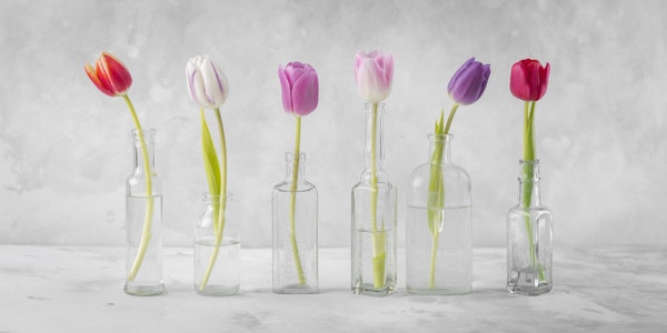 Pastel Tulip Vases
