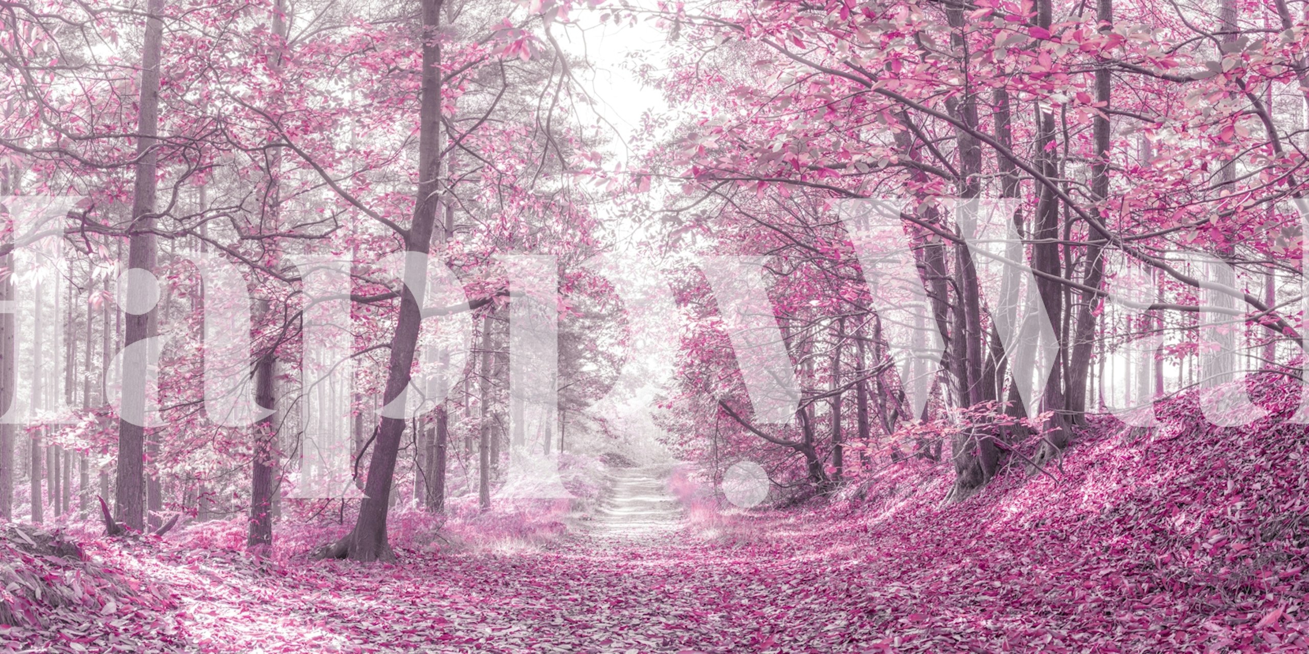 Pink trees and leaves create a pathway in a forest wallpaper.