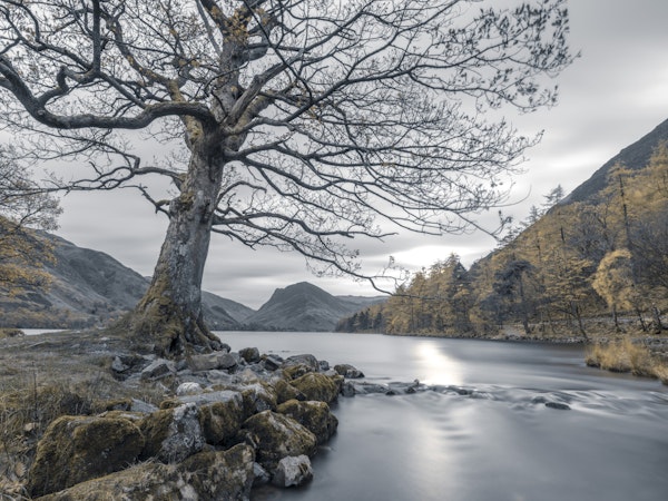 Peaceful Riverbank Scene