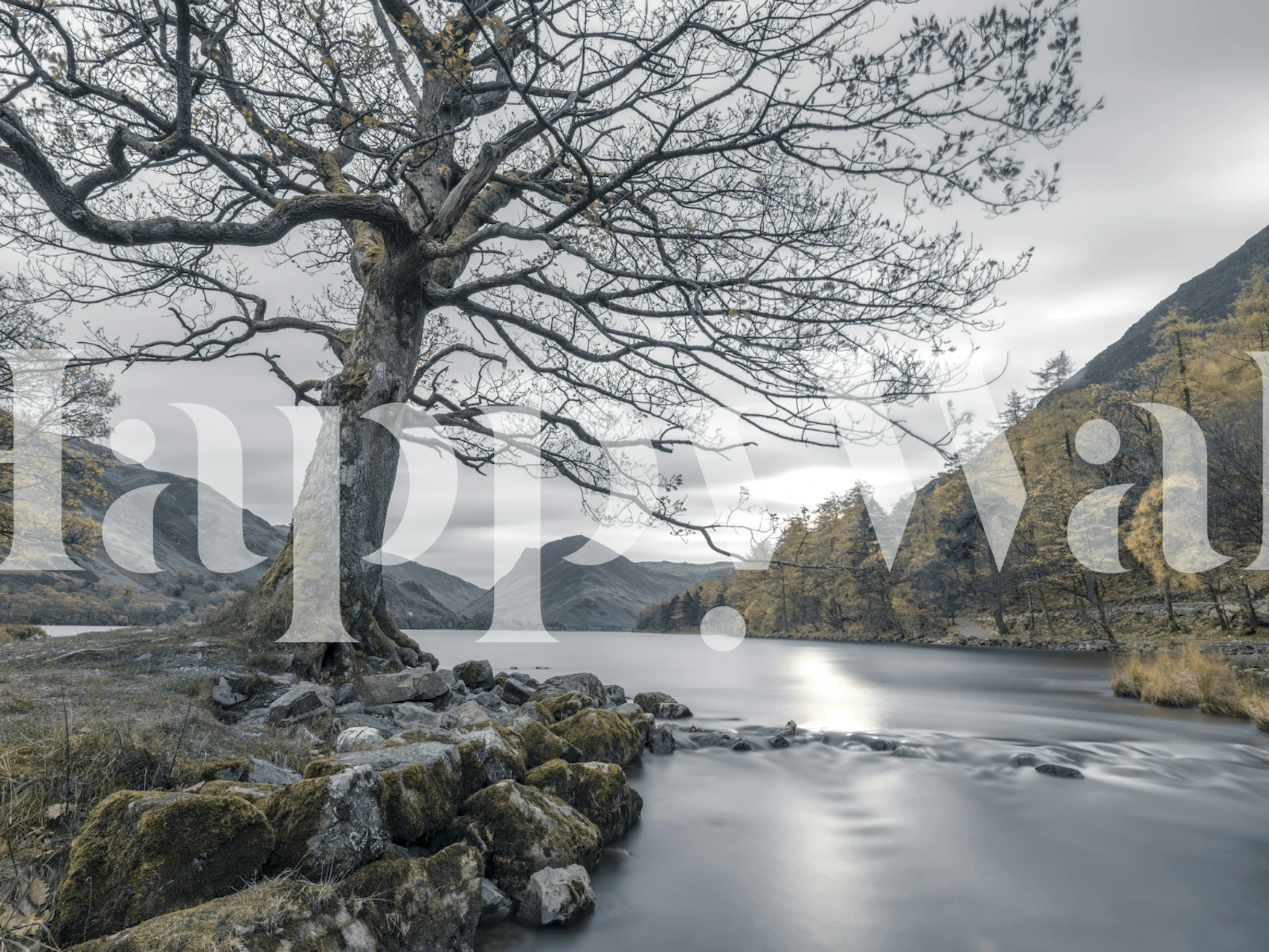 Tapeta Peaceful riverbank scene w pokoju