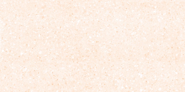 Soft Beige Terrazzo