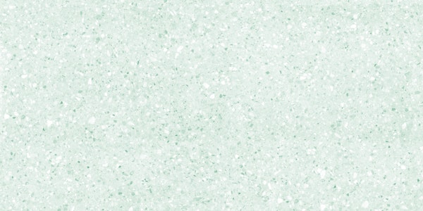 Mint Terrazzo Marble