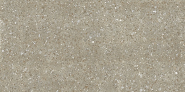 Classic Sandstone Terrazzo
