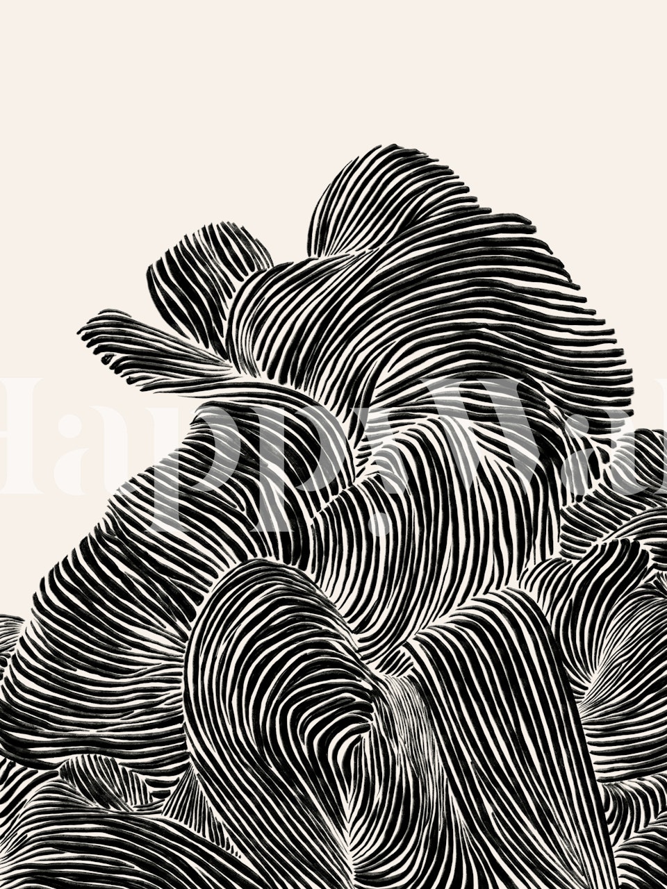Black and white striped wallpaper with flowing patterns