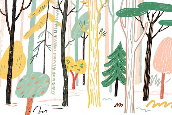 Whimsical Woodland Dream
