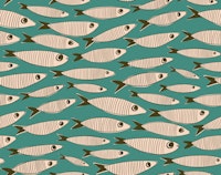 Small Sardines Swimming Vintage Fish - Teal tapetit