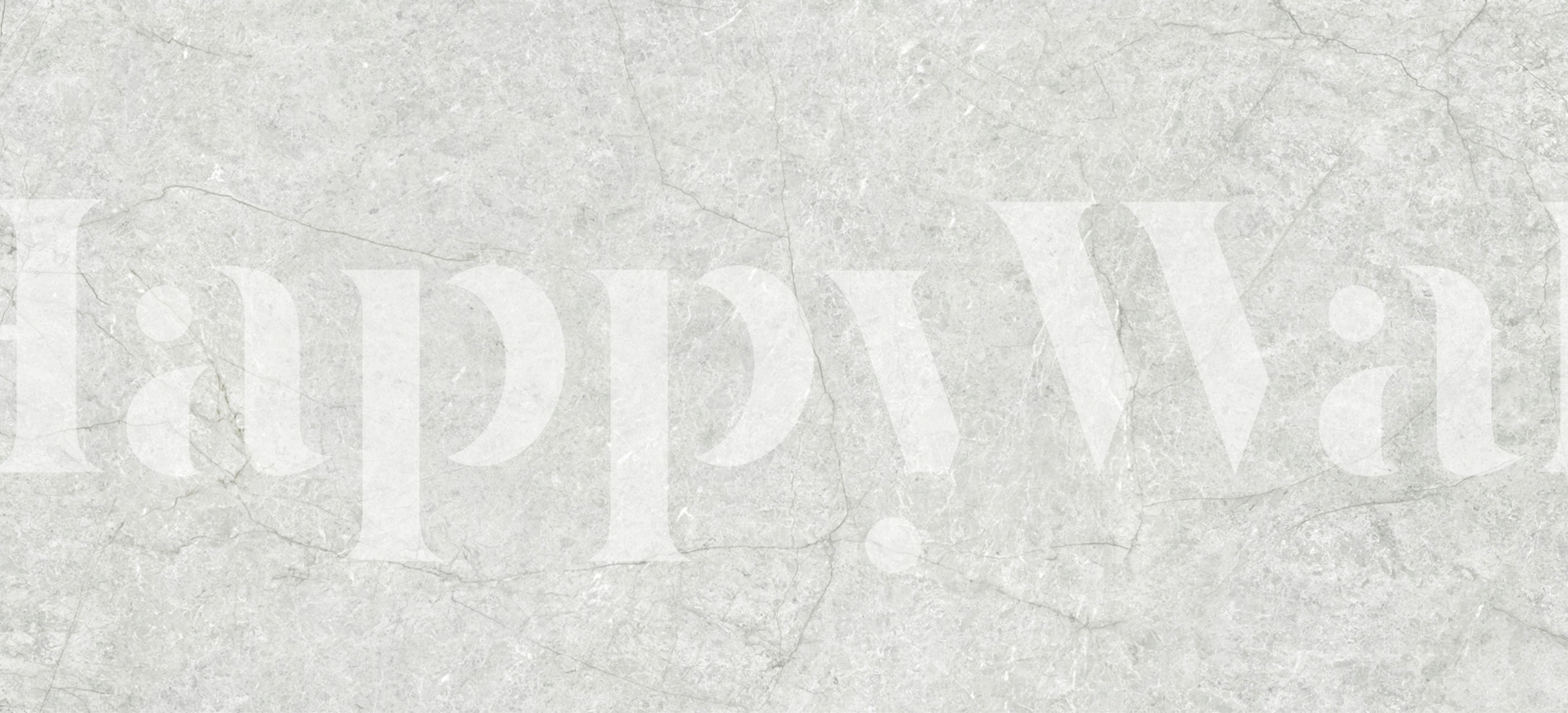 Light Silver Travertine Marble wallpaper in a room