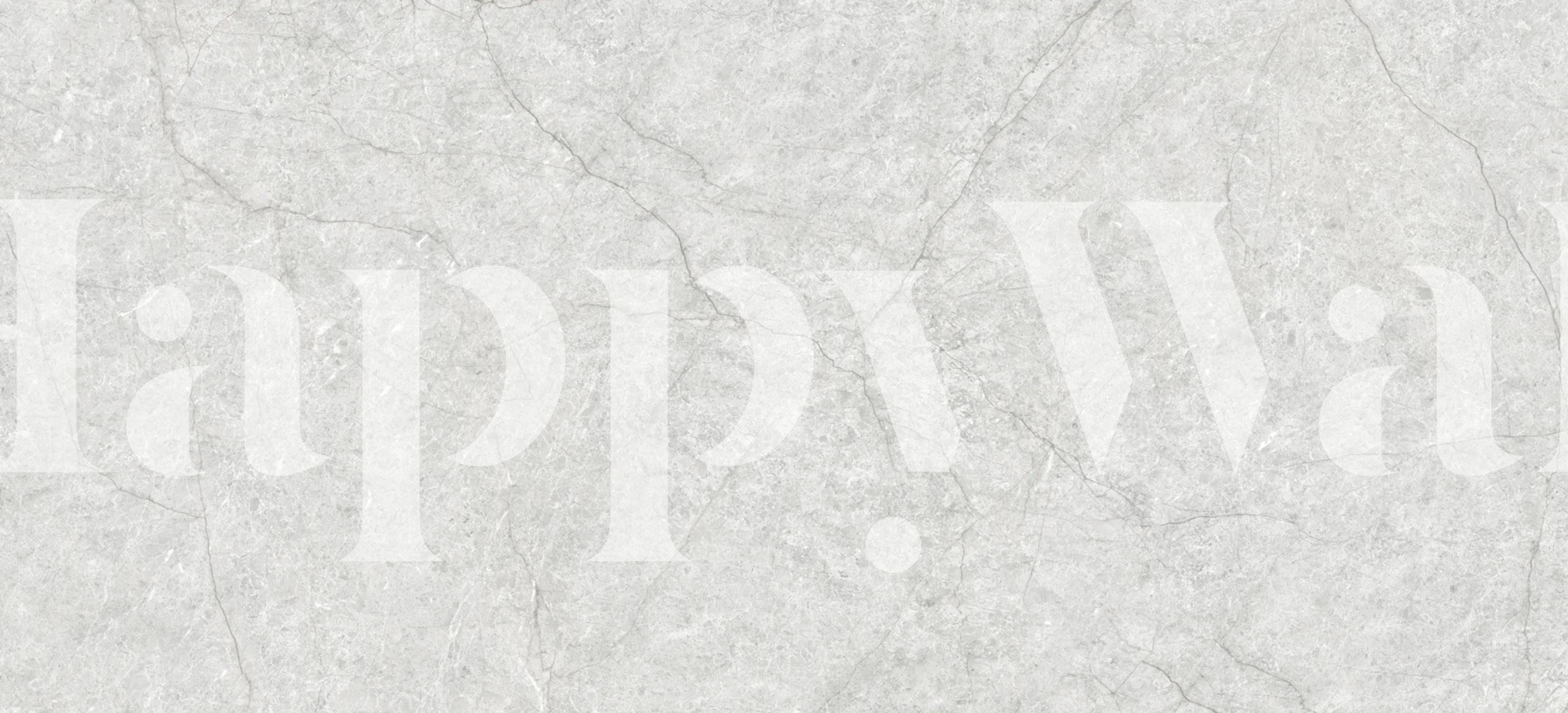 Gray stone texture wallpaper with subtle veins and tones