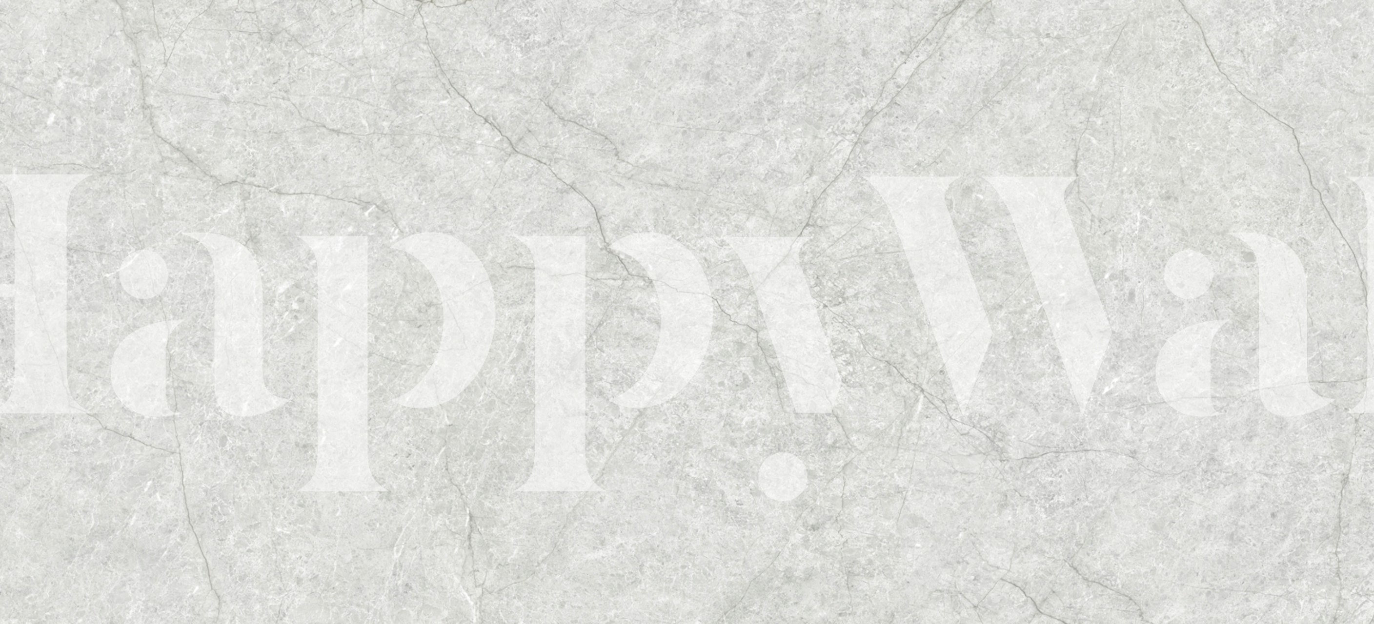 Sophisticated stone wallpaper in a room