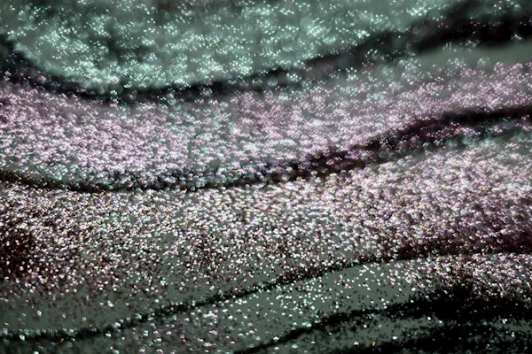 Glitter Waves Glam 1