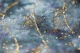 Blue Gold Glitter Glam 1
