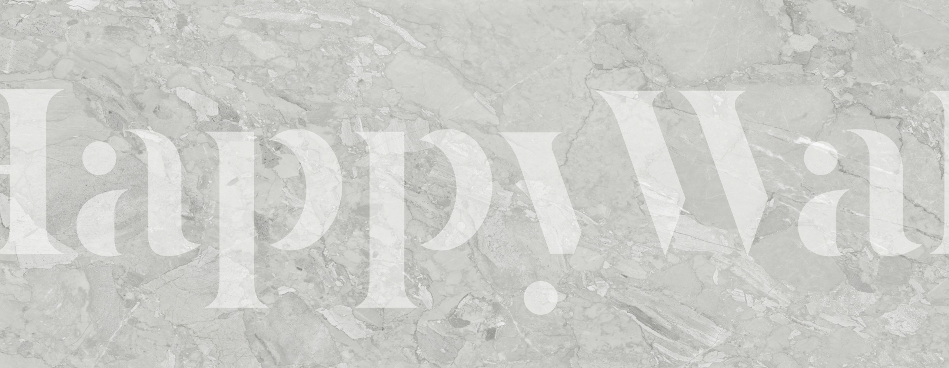 Breccia Silver Marble Stone tapete