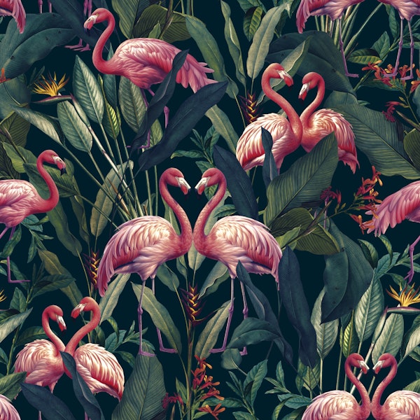 Tropical Flamingos I R