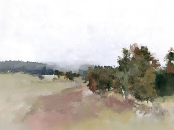 Misty Morning Landscape