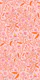 Windling in Coral Blossom