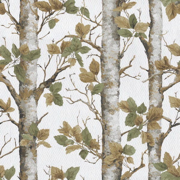 Woodland Birch Forest
