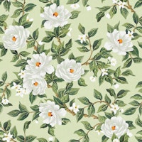 Cottage Floral - Soft Pale Green tapete