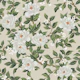 Cottage Floral - Soft Cream