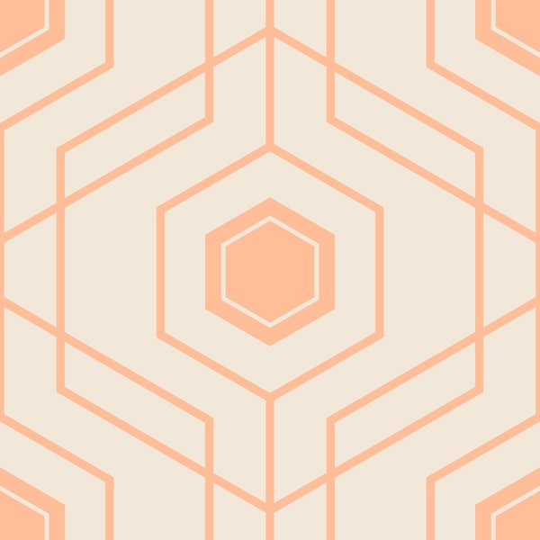 Art Deco Honeycomb - Peach Fuzz Pristine 2