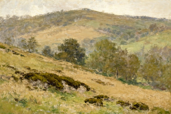 Rustic Meadow Retreat