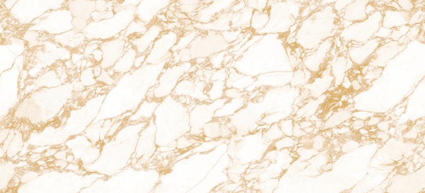 White Gold Marble texture