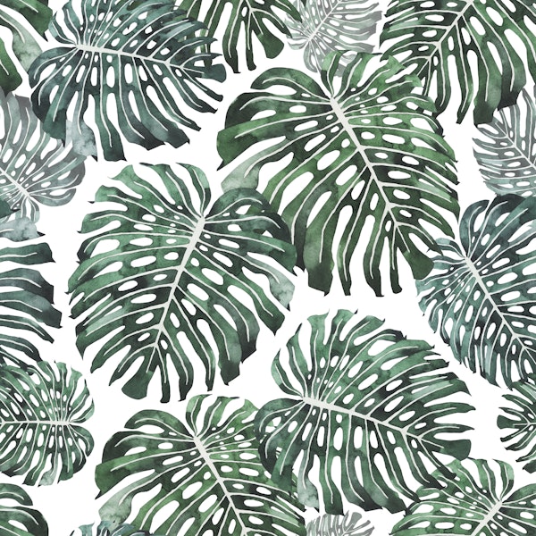 Monstera Jungle Leaves green