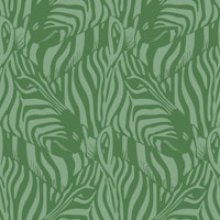 Zebra Herd Wild Animal Safari Sage Green Mint carta da parati