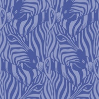 Zebra Herd Wild Animal Safari Purple Lavender tapety
