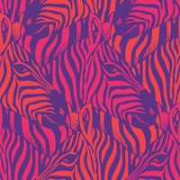 Zebra Herd Wild Animal Safari Fuchsia Purple tapety