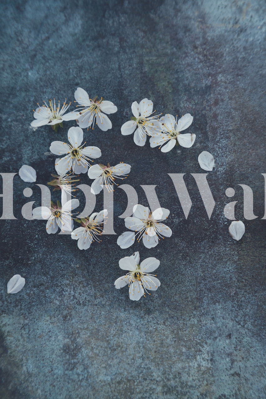 Ταπετσαρία Delicate Sakura Blossom σε ένα δωμάτιο