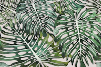 Monstera Jungle Oasis beige tapete