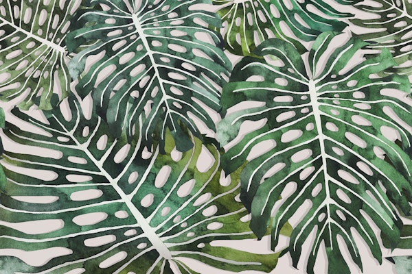 Monstera Jungle Oasis beige