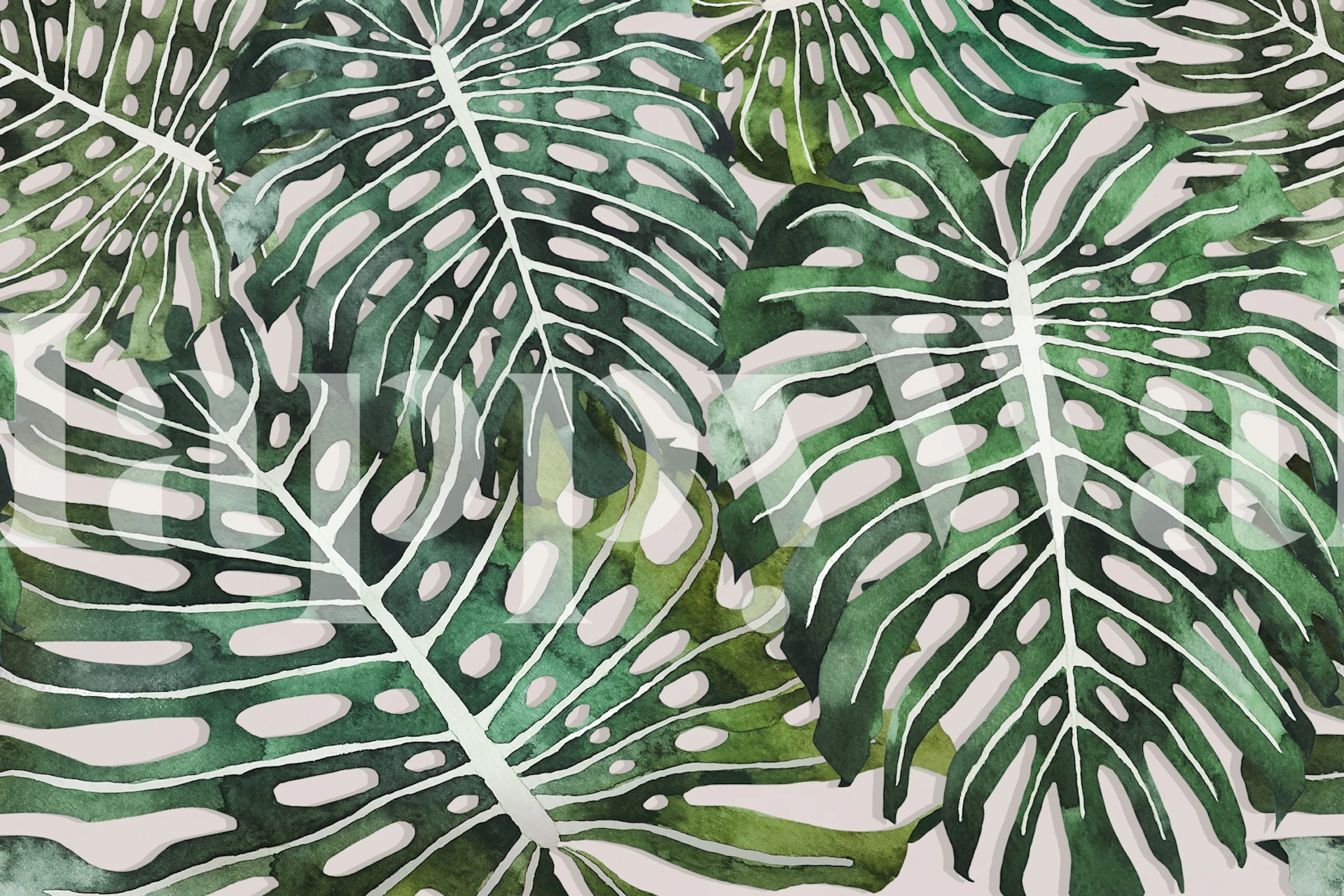 Green Jungle Monstera tapet i ett rum