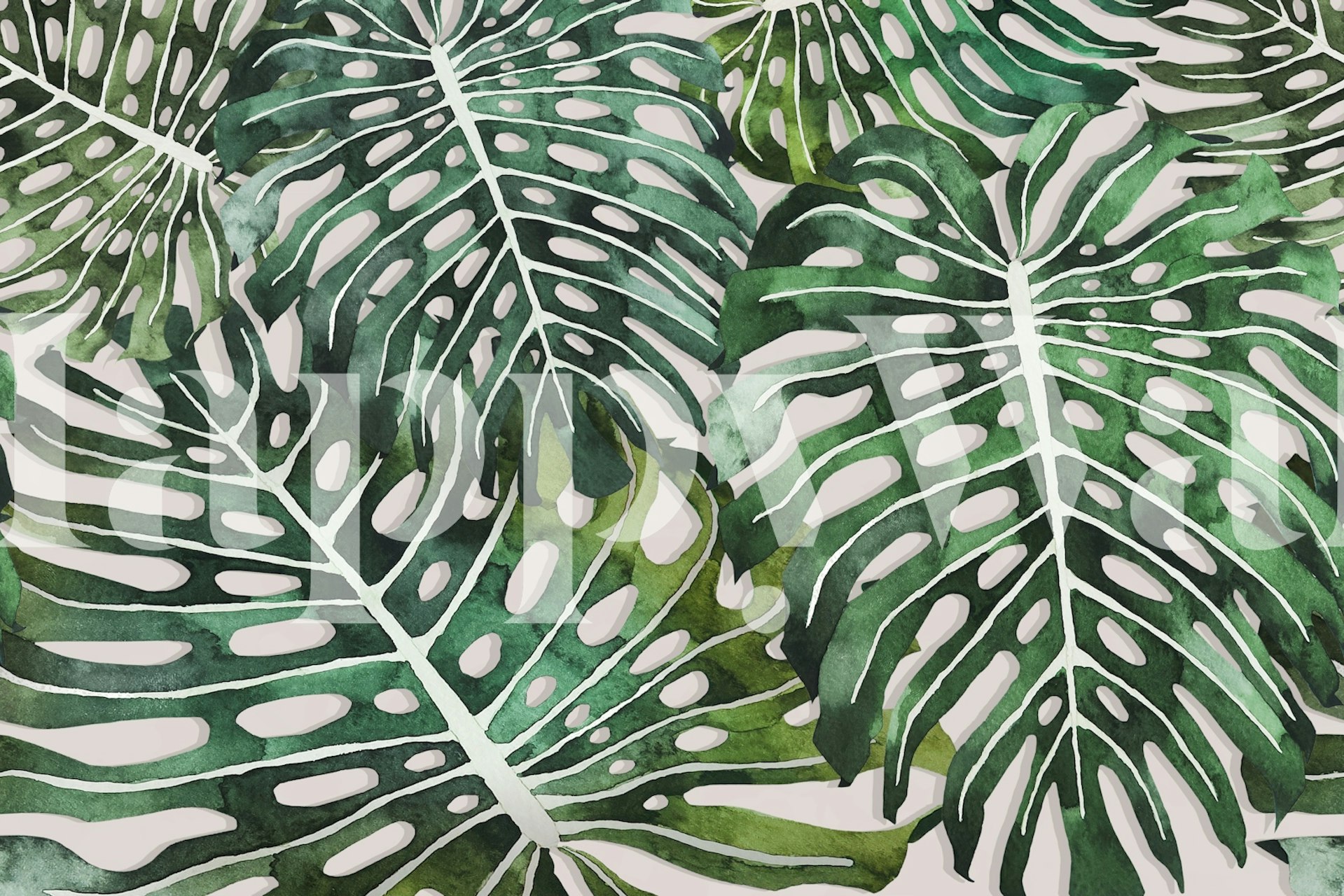 Green Jungle Monstera wallpaper in a room