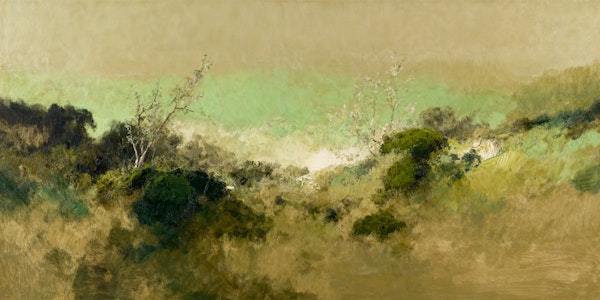 Misty Green Landscape