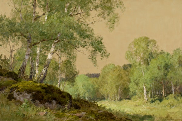 Birch Grove Serenity