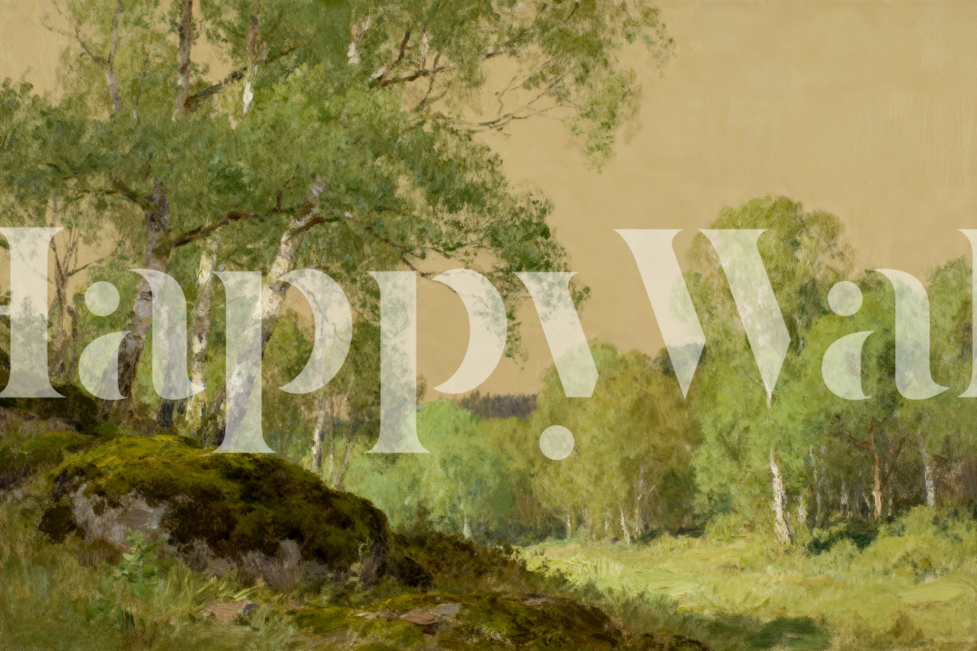 Birch trees and green shrubs, nature scene wallpaper