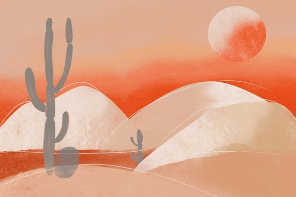 Orange Desert sunset dunes