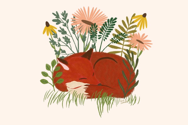 Serene Fox Among Flowers