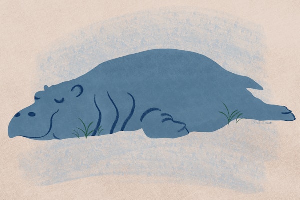 Dreamy Hippo Slumber