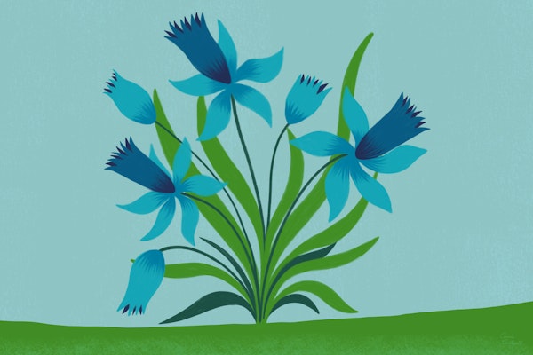 Blue Blooming Delight