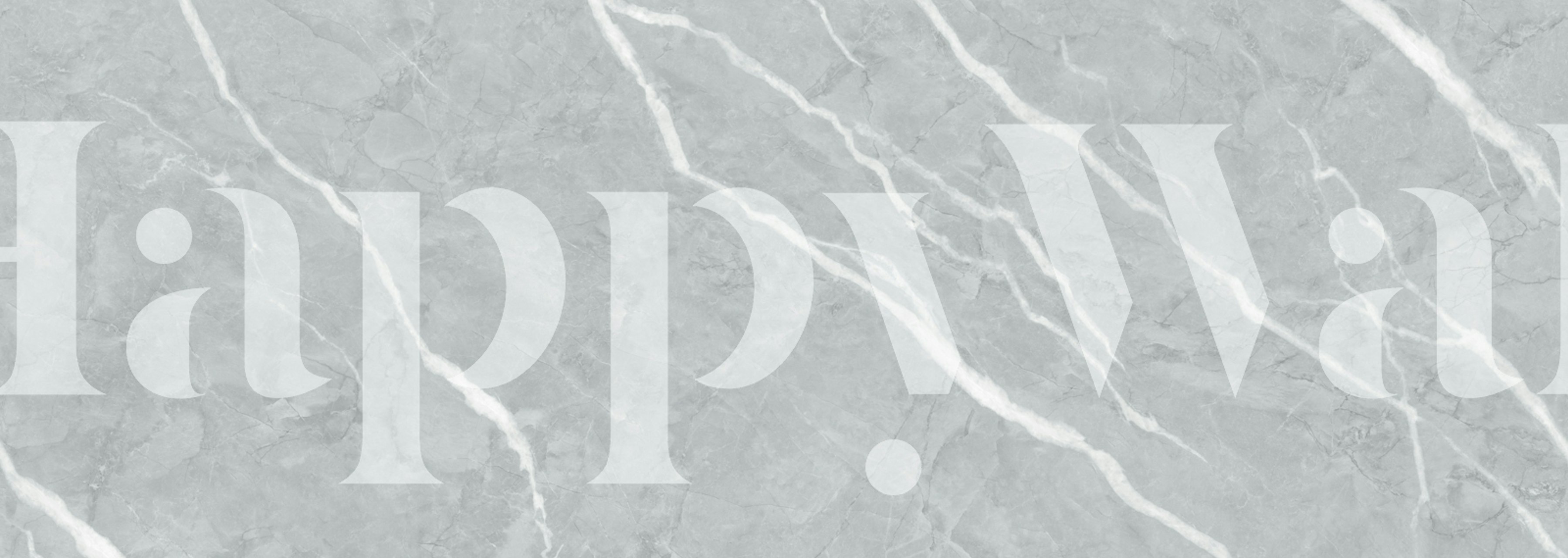 Grigio Venato Marble behang in een kamer