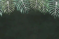 Monstera Jungle Foliage green tapetit